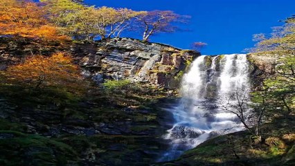 Instrumental acoustic guitar relaxing music Honey98