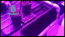 La Policía desmantela 4 naves con plantaciones indoor de marihuana Jerez de la Frontera Cádiz