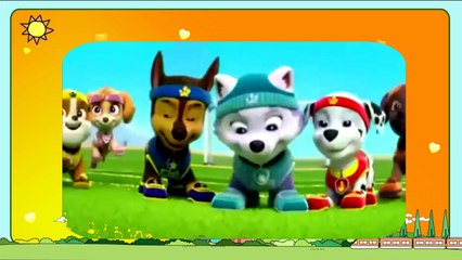 Animation movies for kids and children cartoon  ♧ PUPS SAVE APOLLO