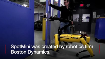 WATCH - Door-opening dog bot beats meddling human