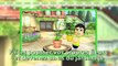 Nouveaux jeux de la place Mii StreetPass (Nintendo 3DS)