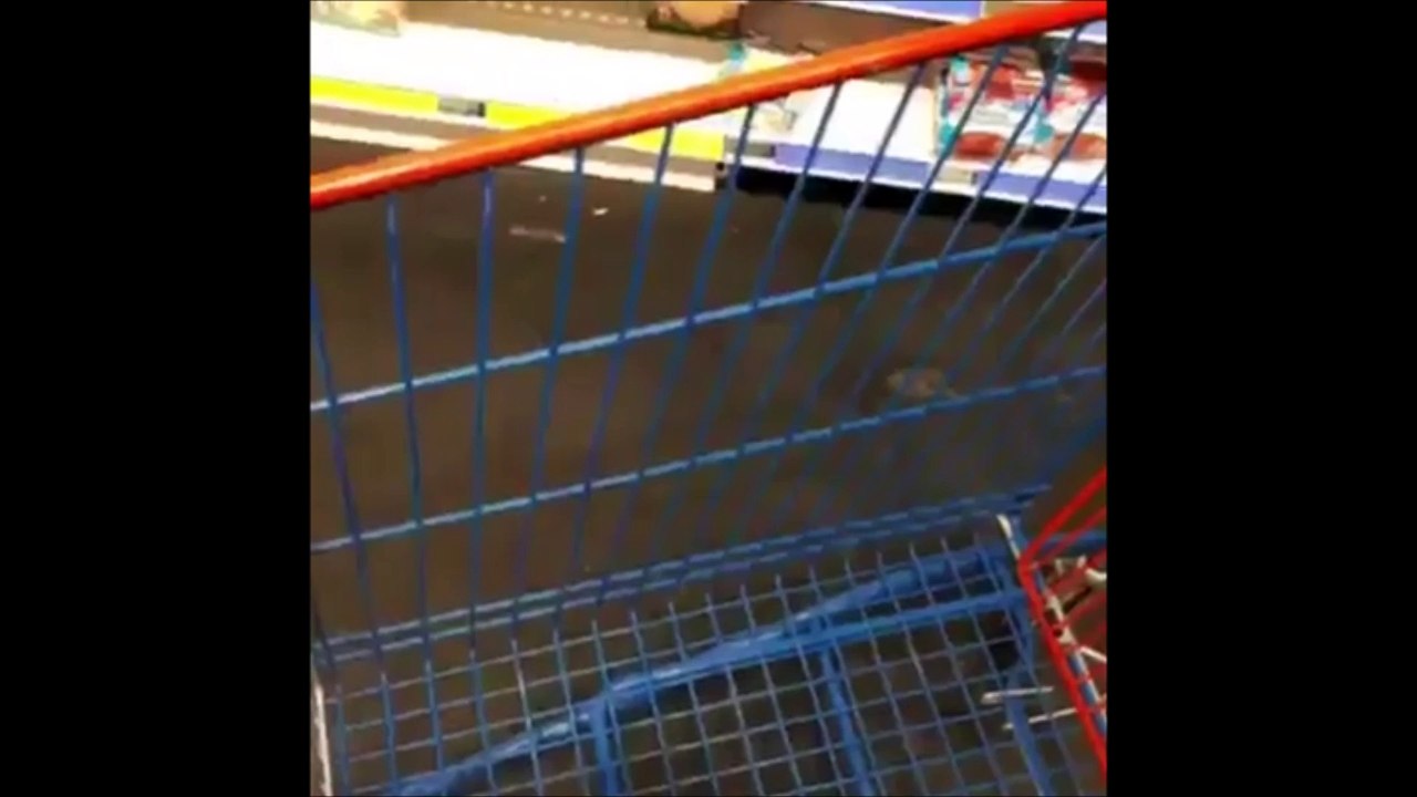 VIDEO - Des souris dans des vêtements pour bébé vendus chez Carrefour à Evry