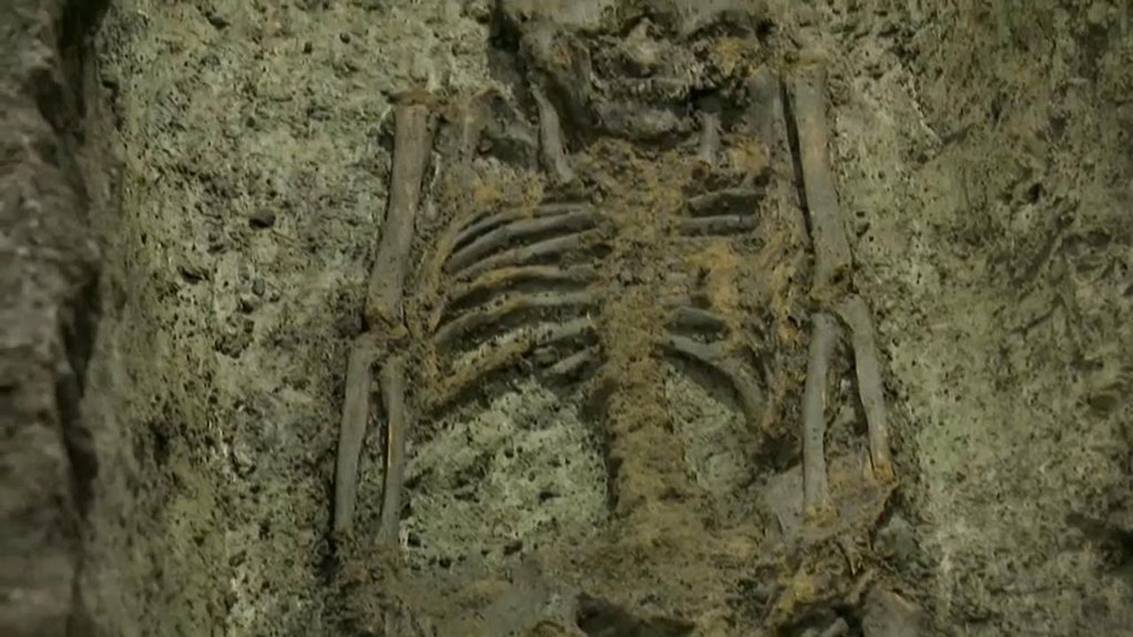 Kopenhagen: skelette unterm rathausplatz