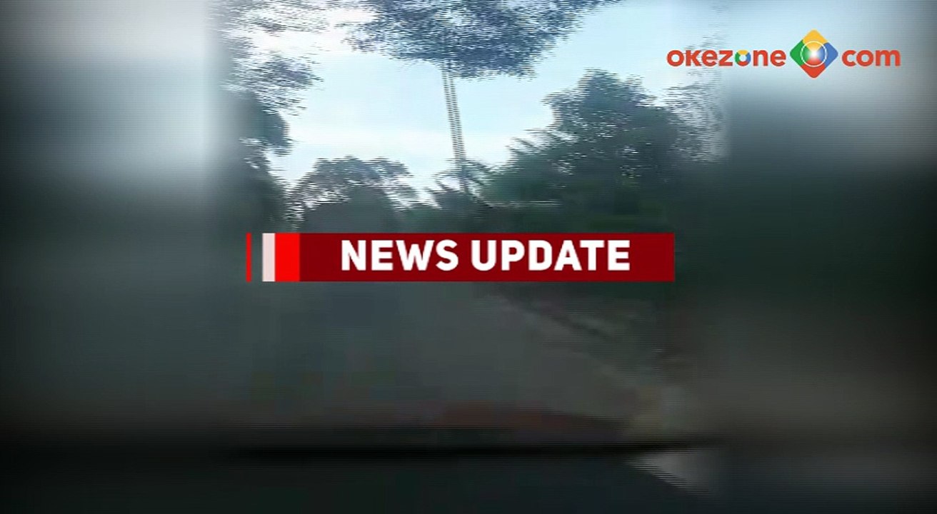 Siang Bolong, Truk Ini Terang-terangan Mengangkut Kayu dari Hutan Tapsel