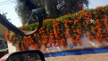 FUTURE OF PEOPLE ACCORDING TO DAY SATURDAY BORN CHILD - AVI ROKKS THE ASTROLOGER