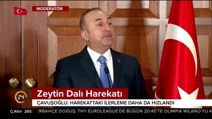 Zeytin Dalı Harekatı