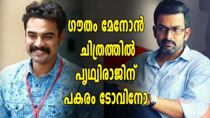 'ഗൗതം മേനോൻ ചിത്രത്തിൽ'  പൃഥ്വിരാജിന് പകരം ടോവിനോ | filmibeat Malayalam