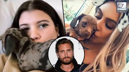 Kim Kardashian Hangs Out  With Scott Disick’s GF Sofia Richie?