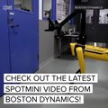 SpotMini by Boston Dynamics fights back