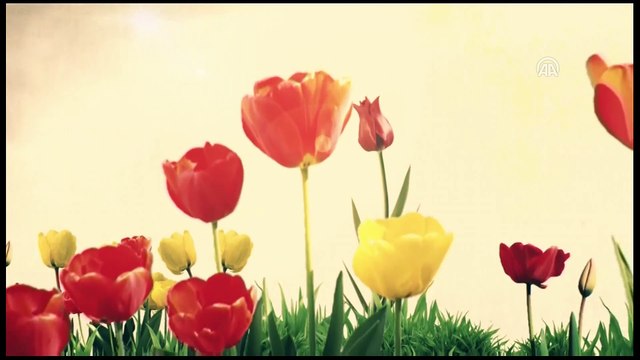 Bakan Kurtulmuş - Kültür Sanat Özel Ödülleri Töreni - ANKARA