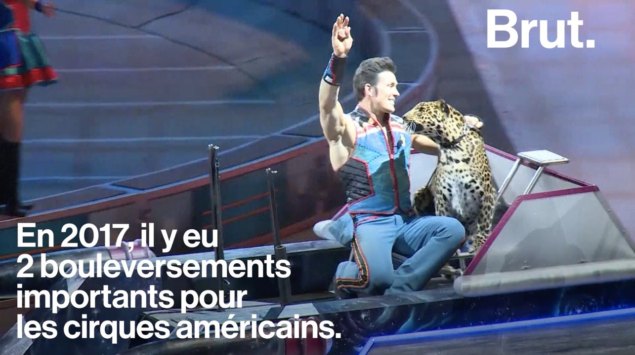 Vers la fin des animaux de cirque aux USA ?