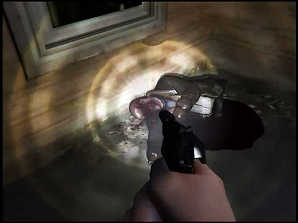 GTA V NIKO BELLIC GHOST EASTER EGG FOUND IN THIS S