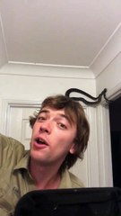 Theres a Snake Stopping Me Getting into the Toilet