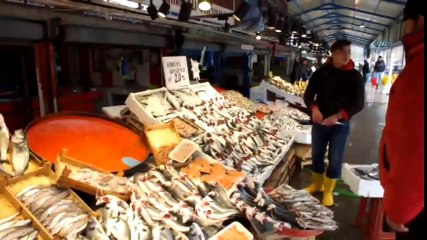 Uskumru Hamsinin Tahtını Sallıyor