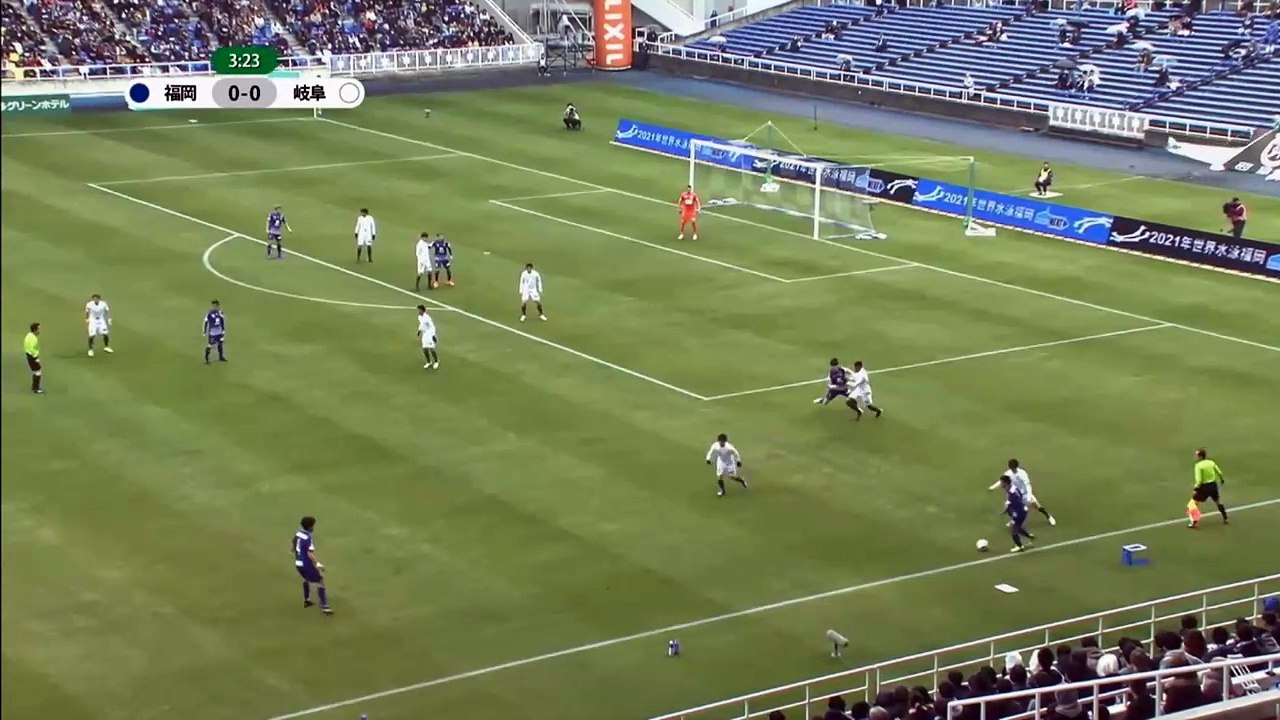 avispa - gifu - 2018