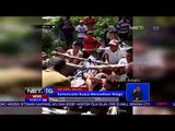 Penangkapan Buaya Liar Di Maluku - NET 16