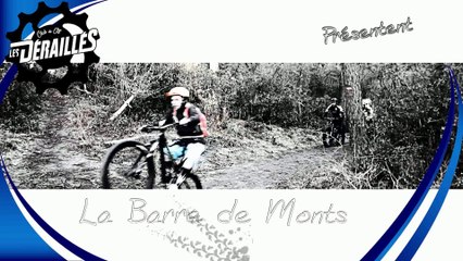 2018-02-28-BARRE DE MONTS