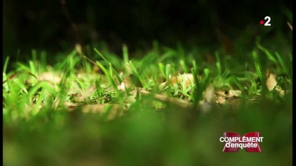 A 14 ans, elle déclare sa flamme à son prof d'anglais, la famille estime qu'elle a été manipulée