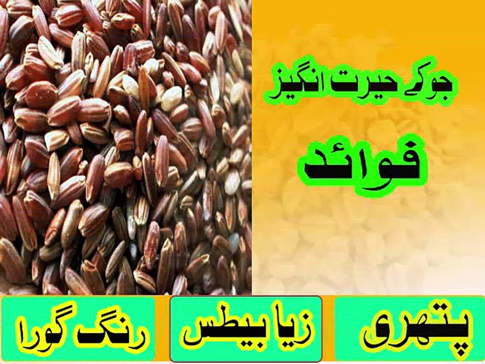jo ka fayde barley water benefits in urdu ever جو کے فائدے Jo Ka