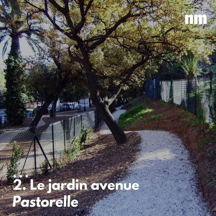 Les 11 aires d'ébats pour chiens à Nice