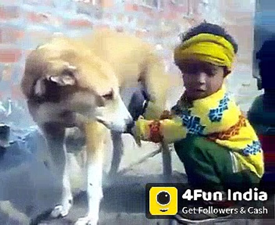 DOG MILK