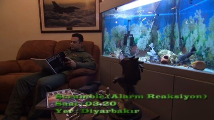 Operasyon öncesi pilotların hazırlığı böyle görüntülendi
