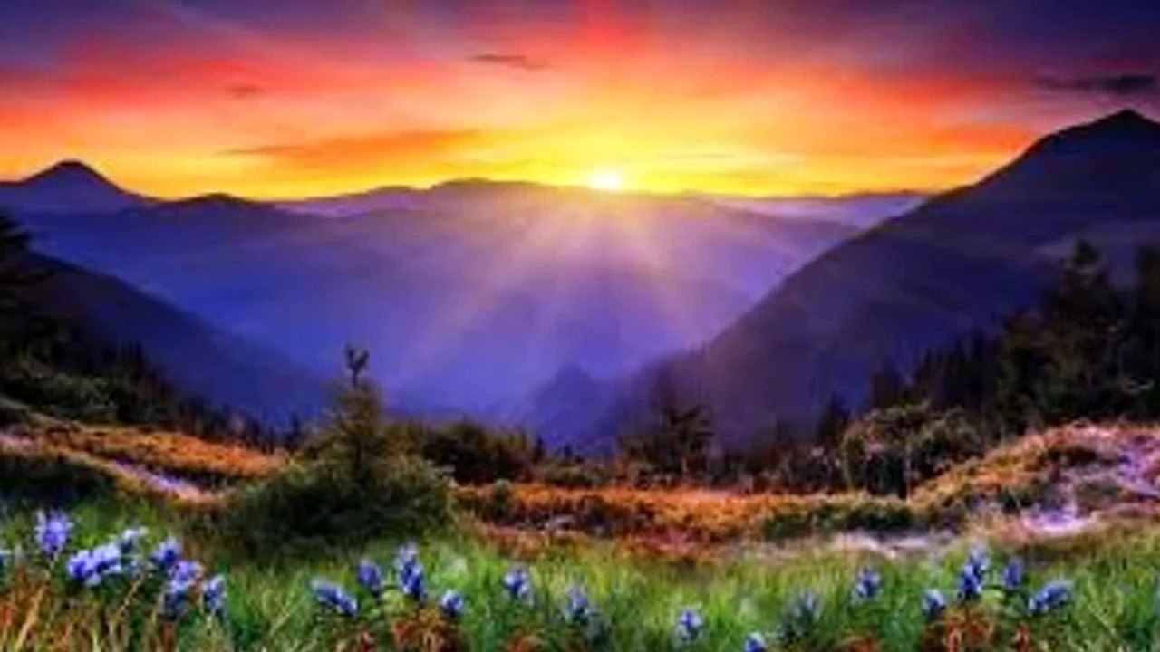 SACRIFIER PAR UN MUSICIEN IL ATTERIT DANS LE SEJOURT DE MORTS