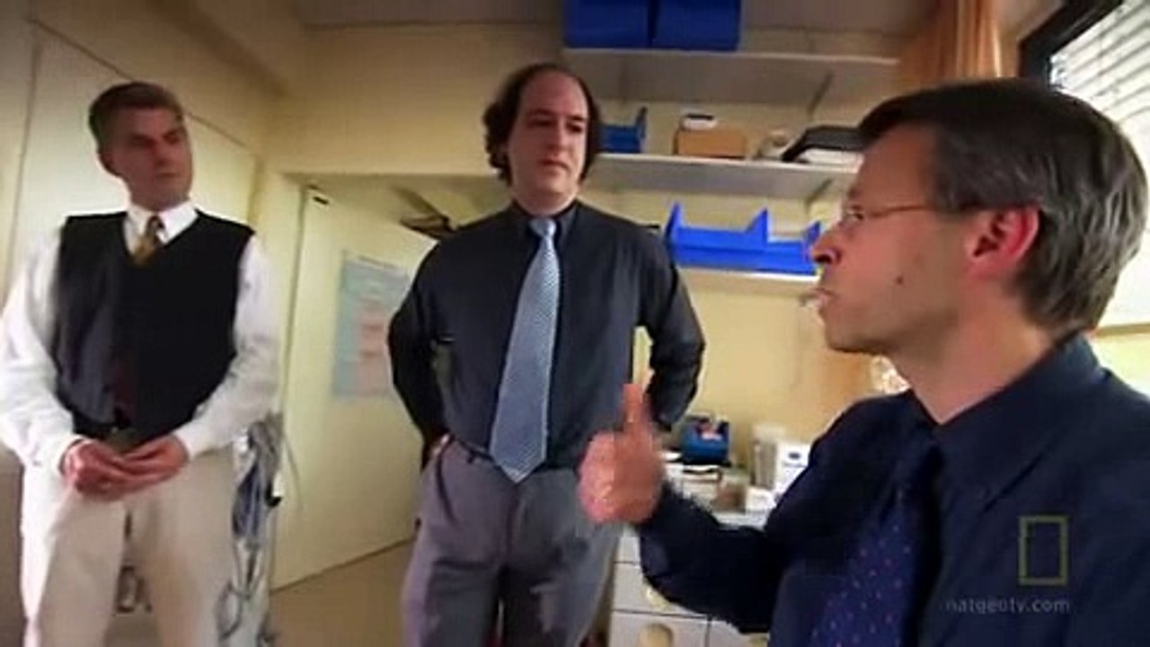 Dentro del LSD
