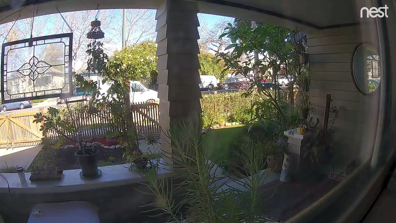 Livraison Amazon : il lance le paquet et le casse !