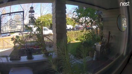 Livraison Amazon : il lance le paquet et le casse !