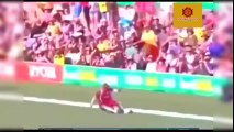 Best Cricket Catches - Insane Catches In Cricket History - Amazing Acrobatic Catches