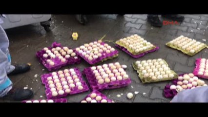 Muğla Marmaris'te Çöpe Atılan Yumurtalardan Çıkan 40 Civciv Kurtarıldı