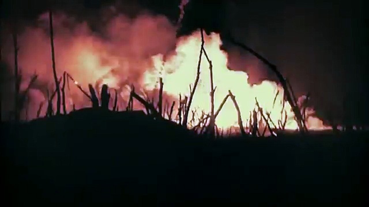 APOCALYPSE La 1ère Guerre Mondiale : L'enfer de Verdun