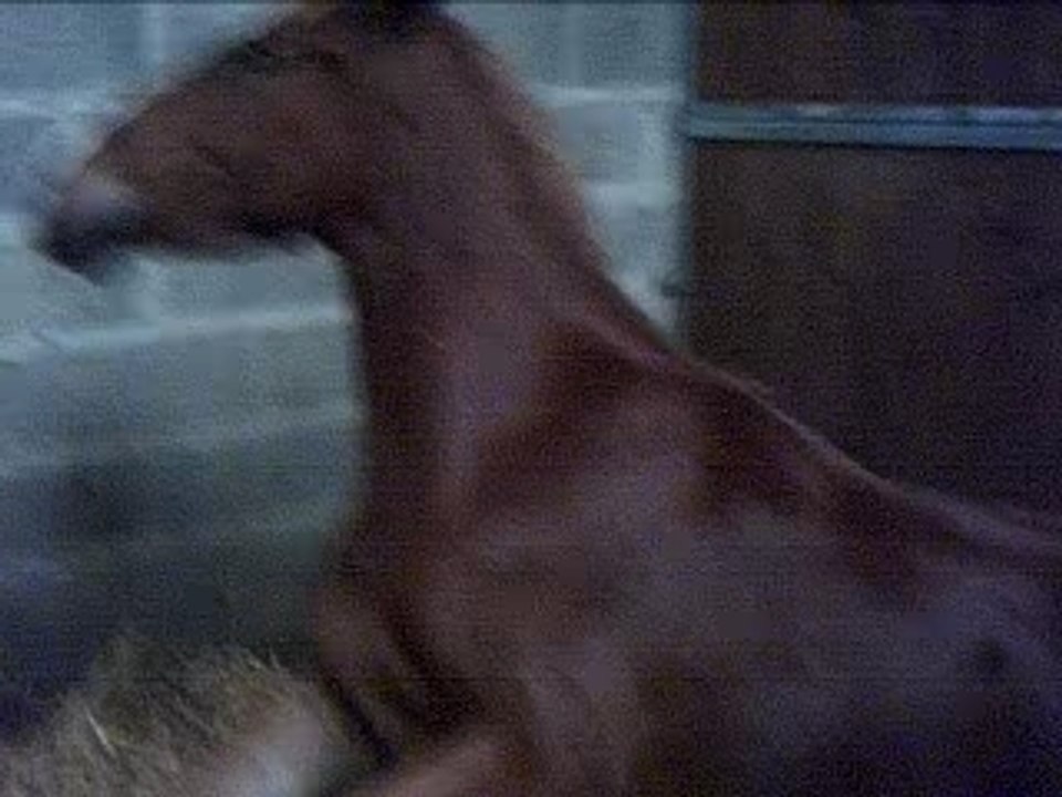 Qualine qui se relève