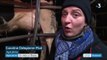 Agriculture : les éleveurs et producteurs en visite à l'Élysée