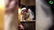 Cette mariée se retrouve coincé dans l'ascenseur à cause de sa robe