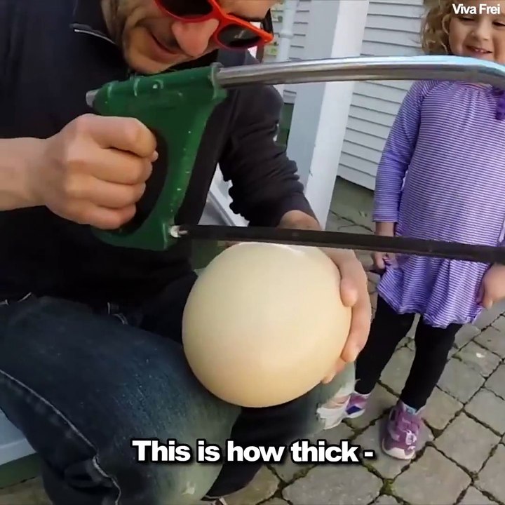 Il cuisine le plus gros oeuf du monde : un oeuf dur pour 10 personnes