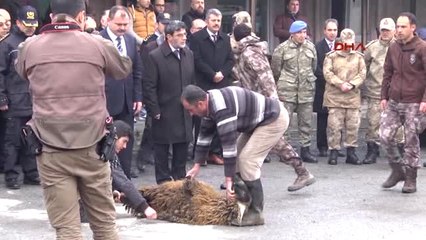 Bitlis - Pöh'ler Bitlis'ten Afrin'e Uğurlandı