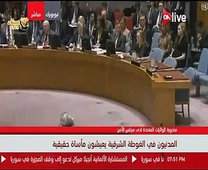 مندوب أمريكا لدى الأمم المتحدة: روسيا لا تدعم أزمة الغوطة بشكل إيجابى