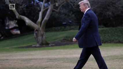 Ellen Takes on Donald Trump for Attacking Oprah