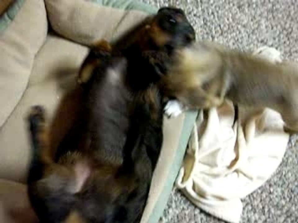 Lucie & Boots Kickin It