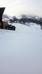 Deux loups au pied des pistes de Chalet Neuf