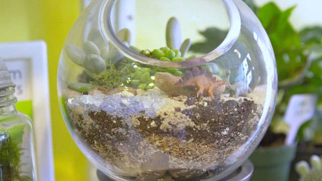 Quizás Habrás Visto Casas Pequeñas, Pero Estos Son Mundos Pequeñitos