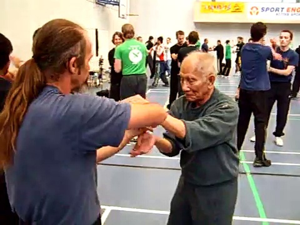 Ip Chun Chi Sao
