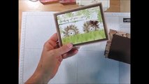 Stampin'Up! Painted Harvest Hedgehogs