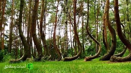 غرائب العالم الخمس التي عجز البشر عن تفسيرها