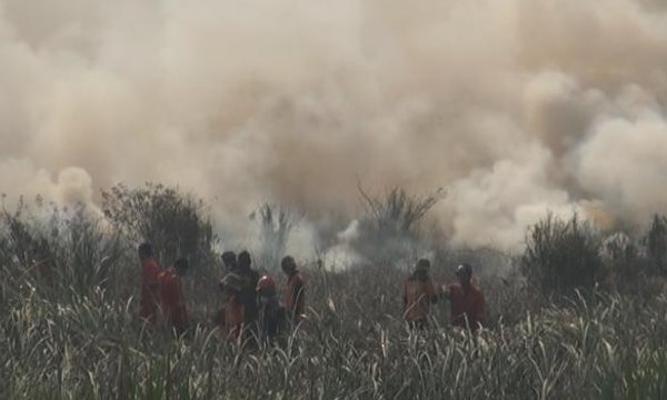 8 Titik Panas Muncul Akibat Kebakaran Hutan dan Lahan