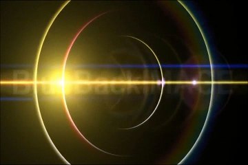 迷子になった子猫を探しに行って回収してくるお母さん猫！w