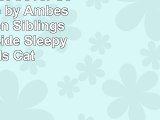 Funny Duvet Cover Set Twin Size by Ambesonne Kitten Siblings Lying Beside Sleepy Heads Cat