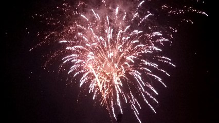 firework beautiful 1